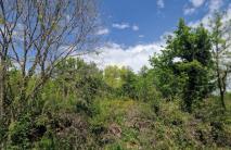 PAVLOVAC, EKSKLUZIVNA PRODAJA ZEMLJIŠTA