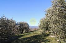 VIŠKOVO-TEREN ZA VIŠESTAMBENU IZGRADNJU