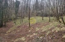 MATULJI-OKOLICA, RAVAN TEREN UZ ZELENI POJAS